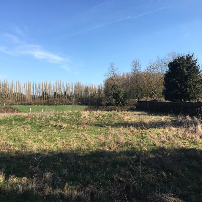 Offres de vente Terrain Châteauneuf-sur-Loire (45110)