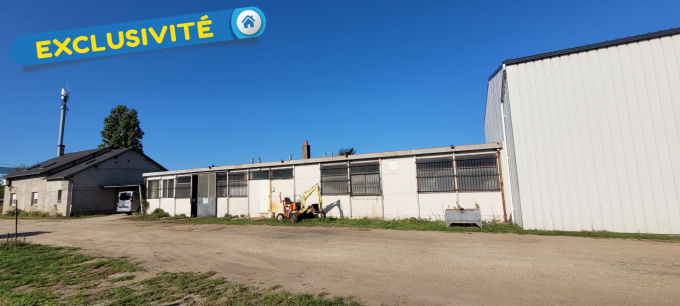 Vente Immobilier Professionnel Local d'activité Saint-Denis-de-l'Hôtel (45550)
