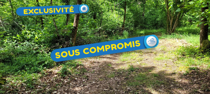 Offres de vente Terrain Bray-Saint-Aignan (45460)